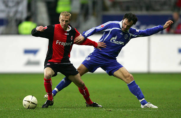 阵容来看 阵容来看